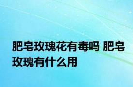 肥皂玫瑰花有毒吗 肥皂玫瑰有什么用