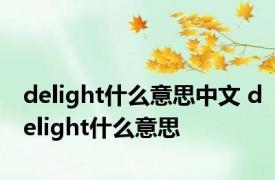 delight什么意思中文 delight什么意思 