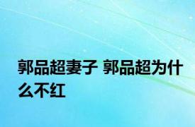 郭品超妻子 郭品超为什么不红 