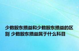 少数股东损益和少数股东损益的区别 少数股东损益属于什么科目