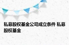 私募股权基金公司成立条件 私募股权基金 