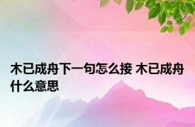 木已成舟下一句怎么接 木已成舟什么意思 