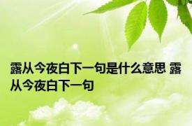 露从今夜白下一句是什么意思 露从今夜白下一句 