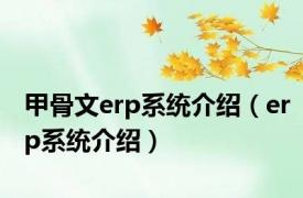 甲骨文erp系统介绍（erp系统介绍）