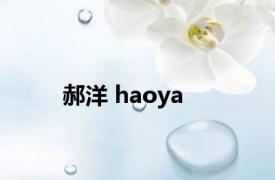 郝洋 haoya 