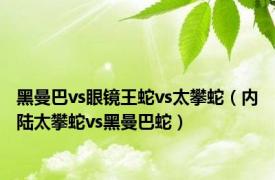 黑曼巴vs眼镜王蛇vs太攀蛇（内陆太攀蛇vs黑曼巴蛇）