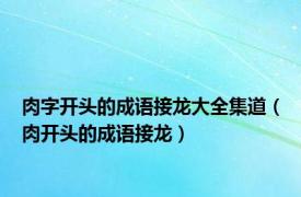 肉字开头的成语接龙大全集道（肉开头的成语接龙）