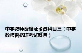 中学教师资格证考试科目三（中学教师资格证考试科目）