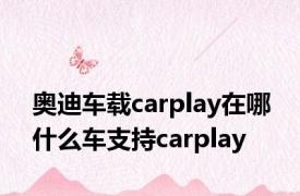 奥迪车载carplay在哪 什么车支持carplay