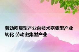 劳动密集型产业向技术密集型产业转化 劳动密集型产业 