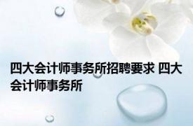 四大会计师事务所招聘要求 四大会计师事务所 