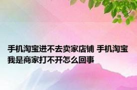 手机淘宝进不去卖家店铺 手机淘宝我是商家打不开怎么回事