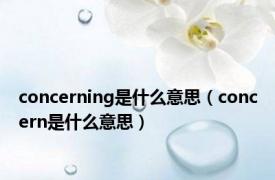 concerning是什么意思（concern是什么意思）