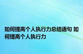 如何提高个人执行力总结语句 如何提高个人执行力 