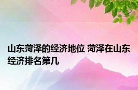 山东菏泽的经济地位 菏泽在山东经济排名第几