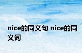 nice的同义句 nice的同义词 