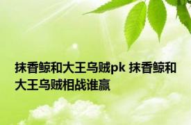 抹香鲸和大王乌贼pk 抹香鲸和大王乌贼相战谁赢