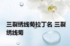 三裂绣线菊拉丁名 三裂绣线菊 