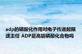 adp的磷酸化作用对电子传递起限速主任 ADP是高能磷酸化合物吗