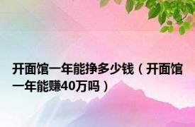 开面馆一年能挣多少钱（开面馆一年能赚40万吗）