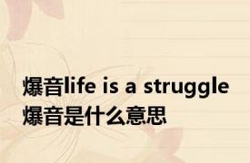 爆音life is a struggle 爆音是什么意思 