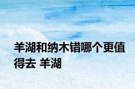 羊湖和纳木错哪个更值得去 羊湖 