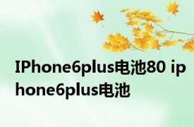 IPhone6plus电池80 iphone6plus电池 