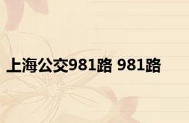 上海公交981路 981路 