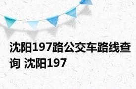 沈阳197路公交车路线查询 沈阳197 