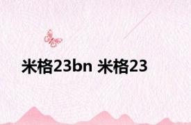 米格23bn 米格23 