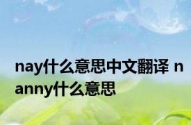 nay什么意思中文翻译 nanny什么意思 