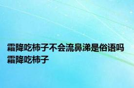 霜降吃柿子不会流鼻涕是俗语吗 霜降吃柿子 