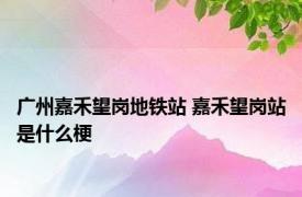 广州嘉禾望岗地铁站 嘉禾望岗站是什么梗