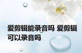 爱剪辑能录音吗 爱剪辑可以录音吗