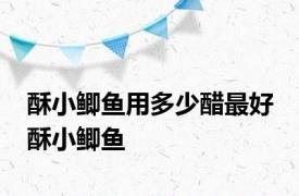 酥小鲫鱼用多少醋最好 酥小鲫鱼 