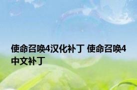 使命召唤4汉化补丁 使命召唤4中文补丁 