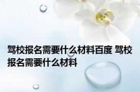 驾校报名需要什么材料百度 驾校报名需要什么材料 