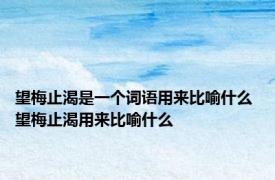 望梅止渴是一个词语用来比喻什么 望梅止渴用来比喻什么