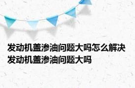 发动机盖渗油问题大吗怎么解决 发动机盖渗油问题大吗