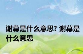 谢幕是什么意思? 谢幕是什么意思 