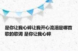 是你让我心碎让我开心流泪是哪首歌的歌词 是你让我心碎 