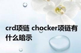 crd项链 chocker项链有什么暗示