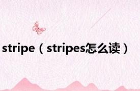 stripe（stripes怎么读）