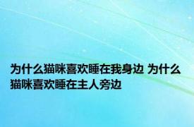 为什么猫咪喜欢睡在我身边 为什么猫咪喜欢睡在主人旁边