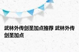 武林外传剑圣加点推荐 武林外传剑圣加点 