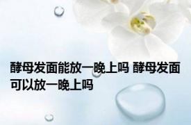 酵母发面能放一晚上吗 酵母发面可以放一晚上吗