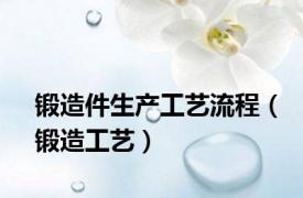 锻造件生产工艺流程（锻造工艺）