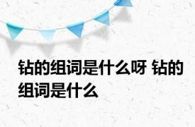 钻的组词是什么呀 钻的组词是什么 