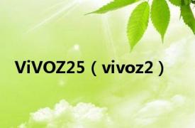 ViVOZ25（vivoz2）