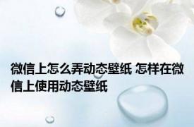 微信上怎么弄动态壁纸 怎样在微信上使用动态壁纸